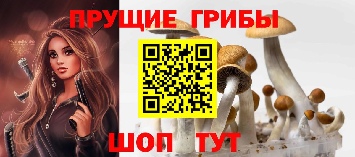 Галлюциногенные грибы мухоморы Котовск