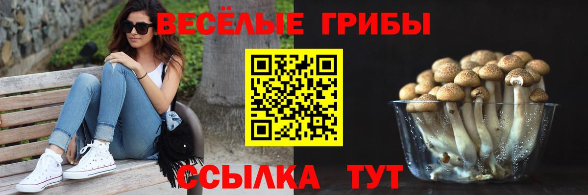 Галлюциногенные грибы мицелий  Вход с VPN  Котовск 
